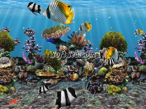 3D Fish School Screen Saver Screenshot