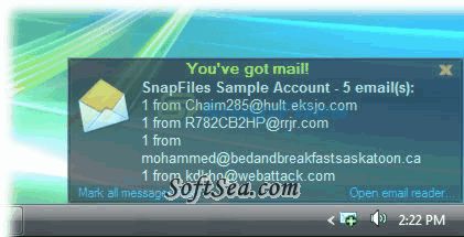 AFin Email Notifier Screenshot
