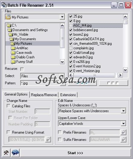 Batch File Renamer Screenshot