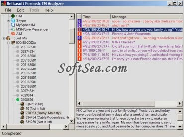Belkasoft Browser Analyzer Screenshot