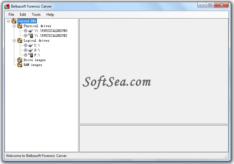 Belkasoft Forensic Carver Professional Screenshot