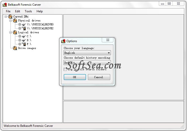 Belkasoft Forensic Carver Screenshot