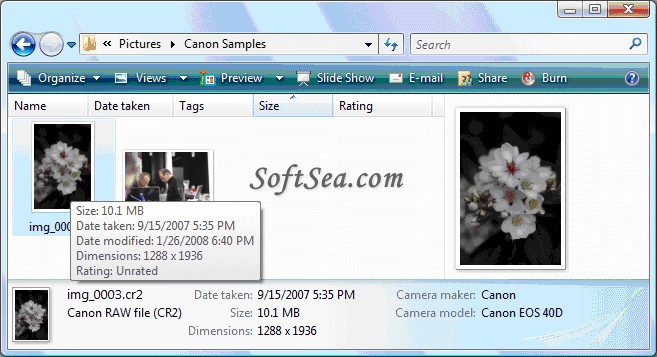 Canon RAW (CR2) Codec Screenshot