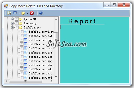 Copy Move Delete Files and Directory Screenshot