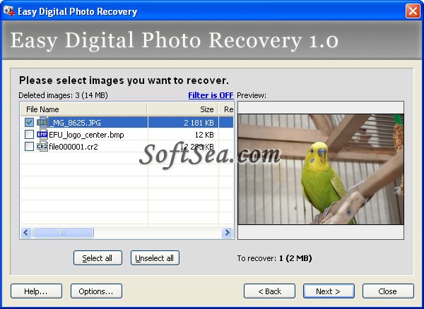 Easy Digital Photo Recovery Screenshot
