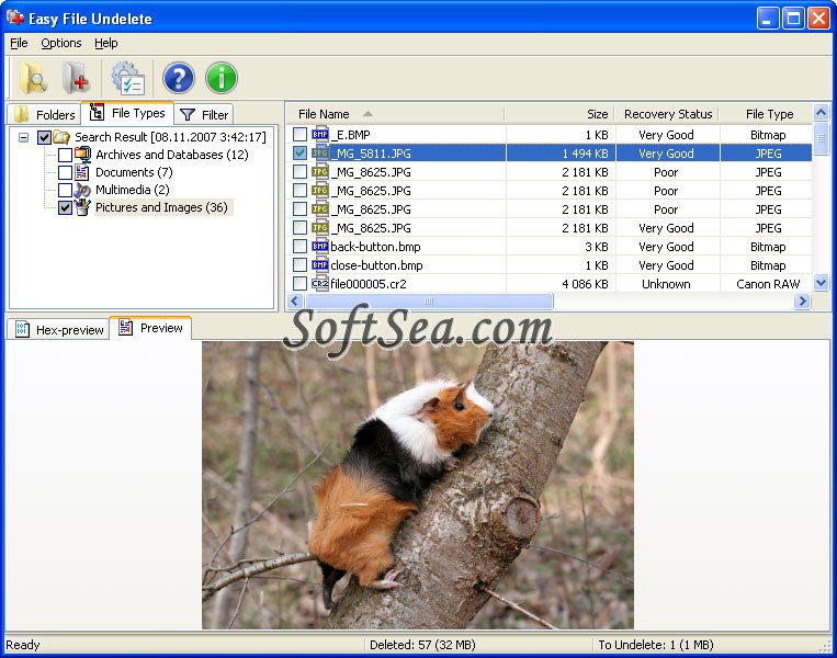 Easy NTFS File Undelete Screenshot