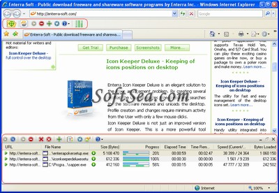 Enterra Download Manager Screenshot