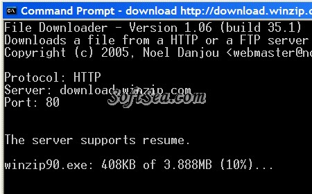File Downloader Screenshot