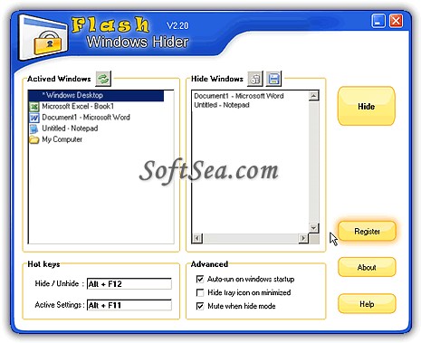 Flash Windows Hider Screenshot