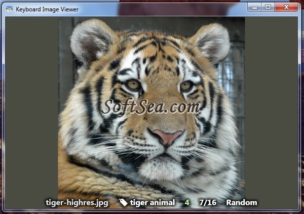Keyboard Image Viewer Screenshot