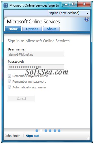 Microsoft Online Services Sign In Screenshot