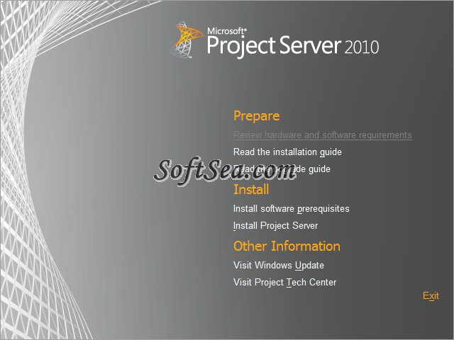 Microsoft Project Server Screenshot
