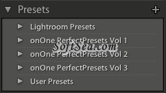 Perfect Presets for LightRoom Screenshot