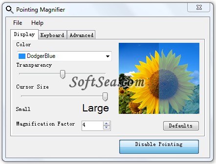 Pointing Magnifier Screenshot