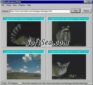 QuadSucker/Web Screenshot