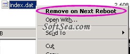 RemoveOnReboot Screenshot