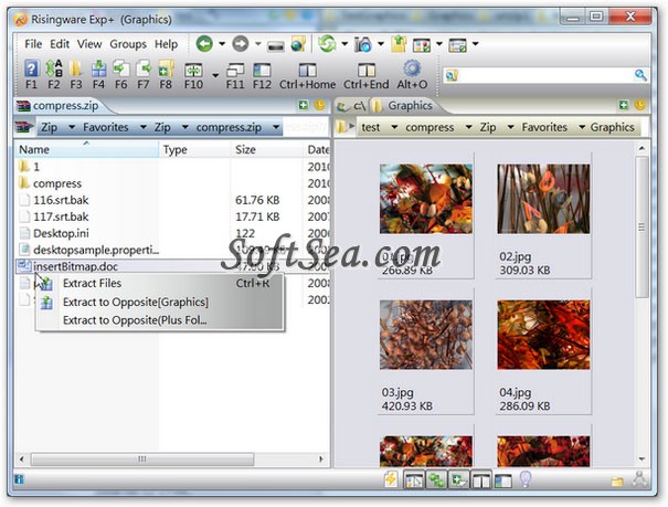 Risingware File Manager Screenshot