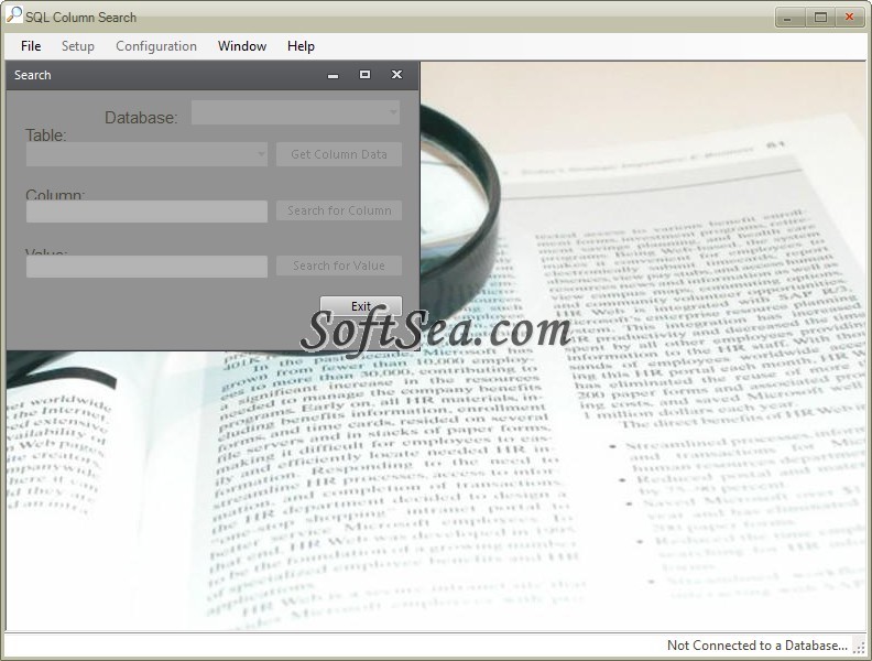 SQL Column Search Screenshot
