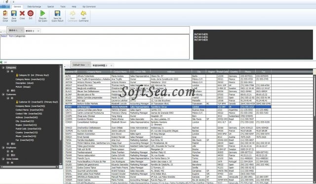 SQLCE Viewer Screenshot