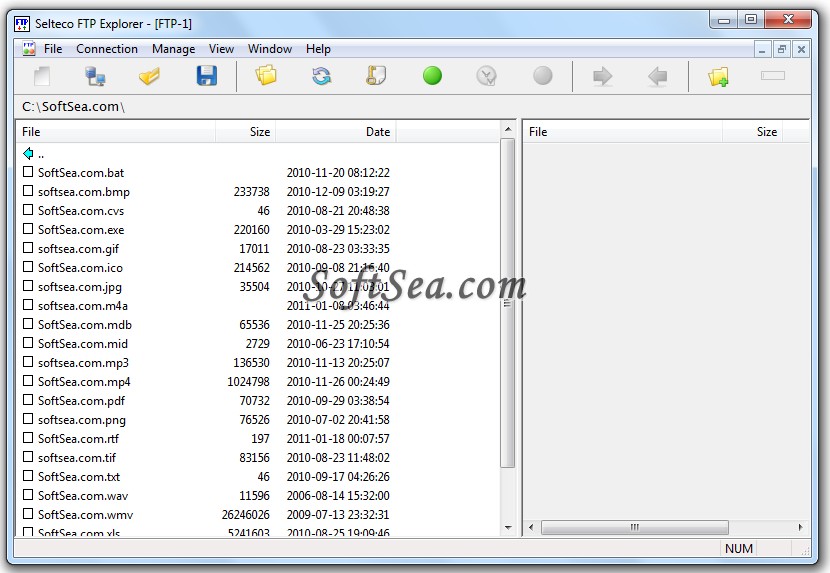 Selteco FTP Screenshot