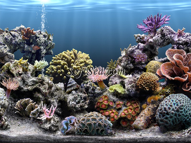 Sim Aquarium Screenshot