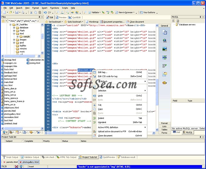 TSW WebCoder Screenshot