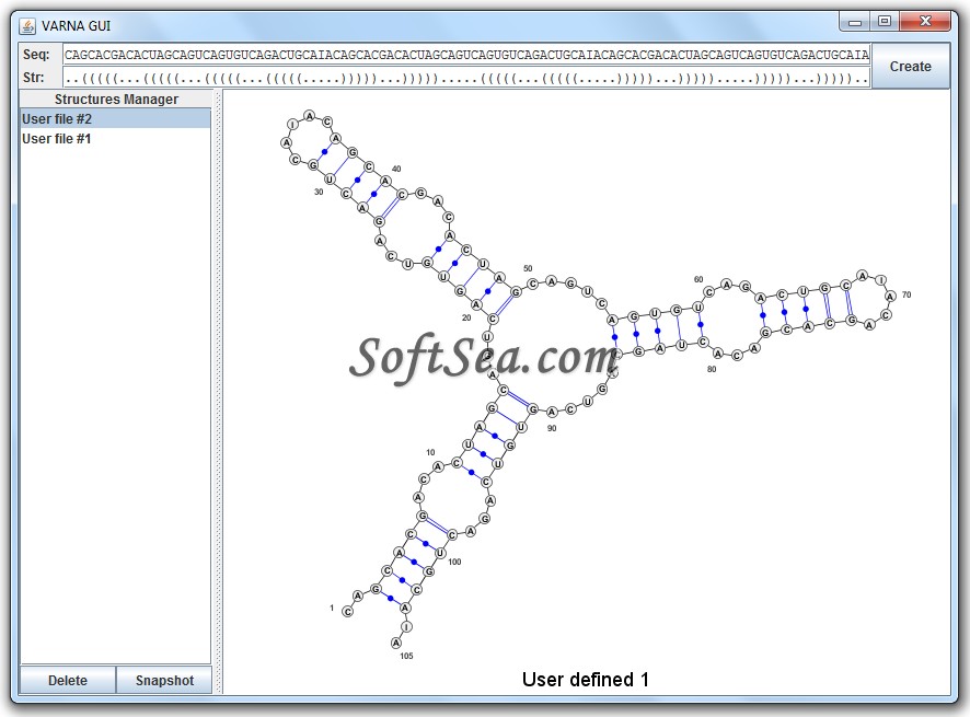 VARNA (Visualization Applet for RNA) Screenshot