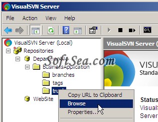 VisualSVN Server Screenshot