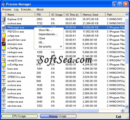 Webkeysoft Process Manager Screenshot