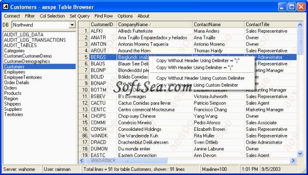aespe Table Browser for MS SQL Server Screenshot