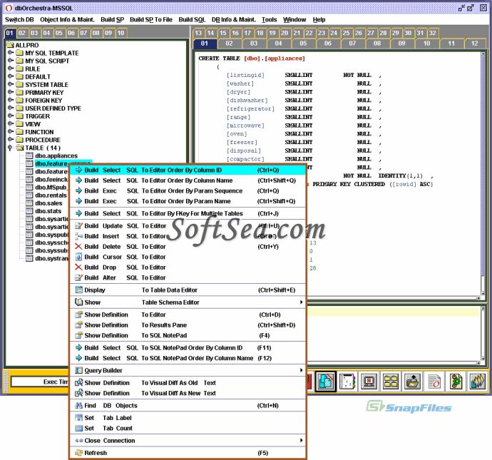 dbOrchestra - SQL Server Screenshot
