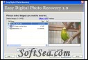 Easy Digital Photo Recovery